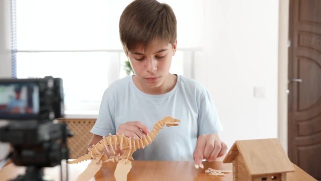 The boy recording a vlog video at home during constructs a dinosaur from wooden 3d puzzle. Very passionate about his work. Studio video shot with very smooth dolly pan of child hobby in 4K definition