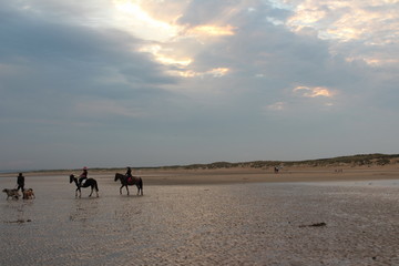 Sunny Beach with sea