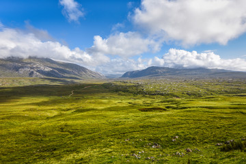 Obraz premium Scenic green meadow against blue sky, Assynt, Scotland, United Kingdom