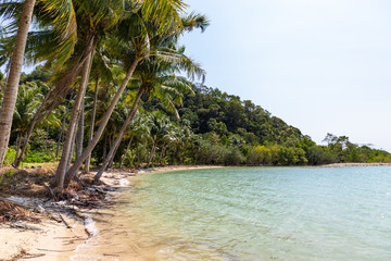 Fototapeta na wymiar Long beach of Koh Chang island. Tropical sandy beach with palm trees and tropical forest. Thailand.
