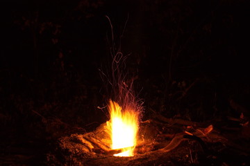 Unique night fire in nature