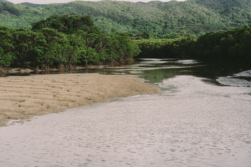 Landscape of Ishigaki Island