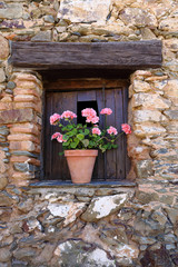 Fototapeta na wymiar Wooden window in stone wall with flower pot