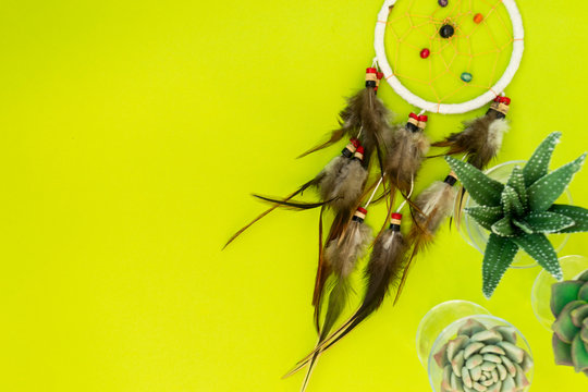 An Indian dreamcatcher with feathers lies among cacti and succulents on a color bright green background.