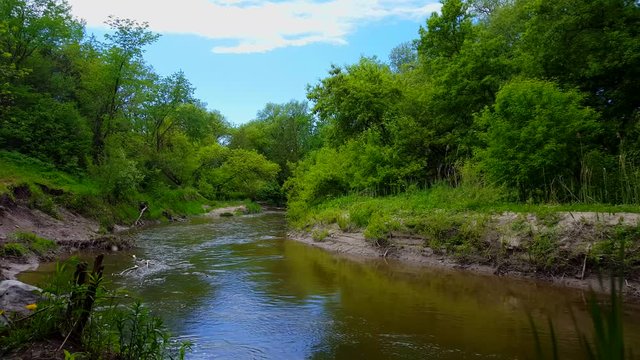 Beautiful Flowing River Surrounded By Forest Trees in Summer.  Viewpoint From Treelined River Shore Inside Woodland Tree Area.