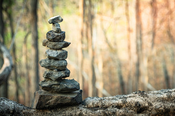 Stone on wood in forest with sunset zen like concept