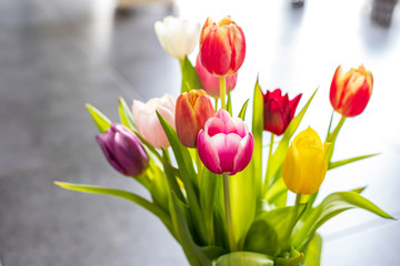 Colorful tulip flowers as greeting card. Mothersday or spring concept.