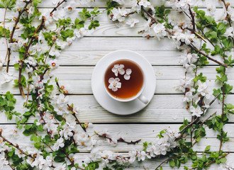 White cup and apricot tea dish with branches of flowering apricot. The concept of herbal medicine. Top view and copy space. Treatment of cold and flu.