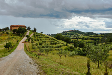 Naklejka premium the way to a rural house on a hill in Tuscany..