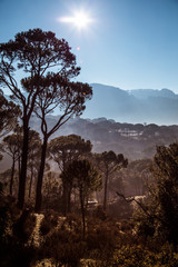 Obraz premium landscape