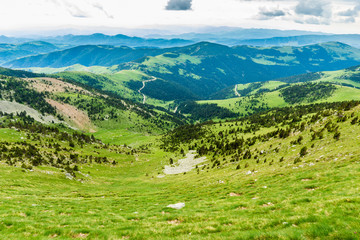 Fototapeta na wymiar Green beautiful valley in the mountains.