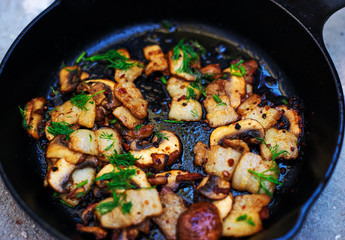 Fried champignon mushrooms with bacon and dill 