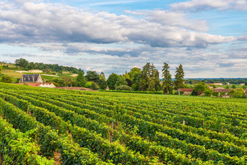 Fototapeta na wymiar beautiful vineyard of Saint Emilion in Bordeaux, France in sunny day