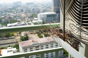 Closeup bird nest on the steel cage of air conditioner at the terrace of high condominium with blurred cityscape background in sunshine morning
