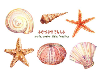 Watercolor set of underwater life objects - various tropical seashells,  starfish and sea urchin. Hand drawn illustrations isolated on white background. - 272303646