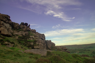 The Roaches