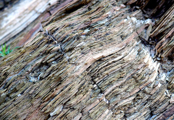 Sedimentary sandstone macro detail