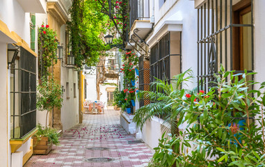 Fototapeta na wymiar Picturesque sight in Marbella old town, province of Malaga, Spain.