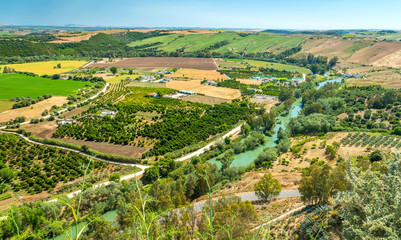 Beautiful landscape surrounding Arcos de la Frontera, province of Cadiz, Andalusia, Spain.