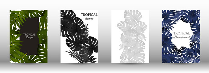 A set of tropic