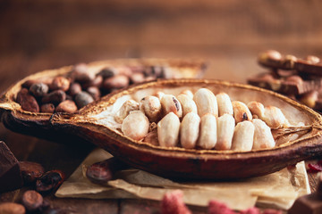Organic homemade chocolate and cocoa beeens