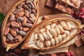 Organic homemade chocolate and cocoa beeens