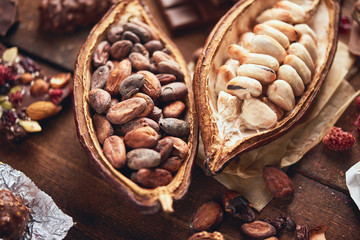 Organic homemade chocolate and cocoa beeens