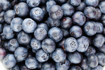 Fresh blueberry background. Texture blueberry berries close up.