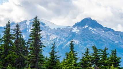 Fototapeta premium Pine trees and snow capped mountain peaks in background beyond woodlands in Alaska. Scenic landscape view of ice covered range with clouds touching on hike to Upper Dewey Lake in Skagway in autumn.