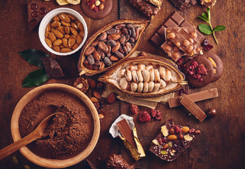 Organic homemade chocolate and cocoa beeens