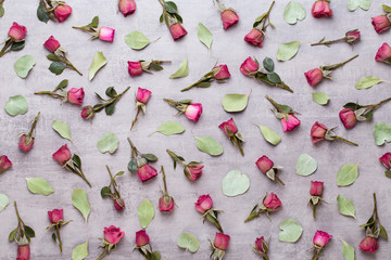 Flowers valentine day composition. Frame made of pink rose on gray background. Flat lay, top view, copy space.