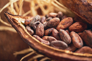 Organic homemade chocolate and cocoa beeens