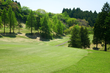 ゴルフコース