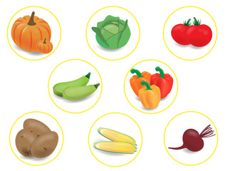 Icons autumn vegetables.