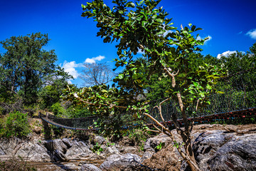 Fototapeta na wymiar Safari im Majete Nationalpark