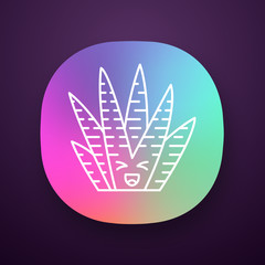 Elephant cactus app icon