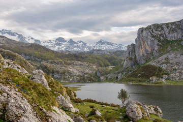 Naklejka na ściany i meble Covadonga Lakes in Picos de Europa National Park, Asturias, Spain