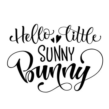 Hello Little Sunny Bunny quote. Isolated black and white hand draw calligraphy script and grotesque lettering logo phrase.