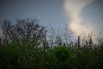 atardecer tormentoso