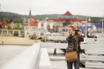 Sopot Poland, on the fence of a seagull,