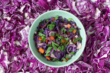 red cabbage salad with  parsley and carrot