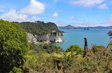 Fototapeta na wymiar The idyllic coastline at Cathedral cove on the Coromandel Peninsular on North Island, New Zealand.