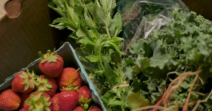 Fresh organic seasonal produce from a community supported agriculture box