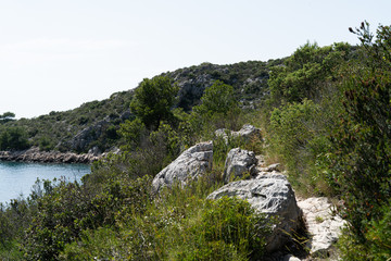 Fototapeta na wymiar Hvar island in Croatia