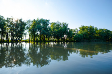 Danube Delta in the springtime