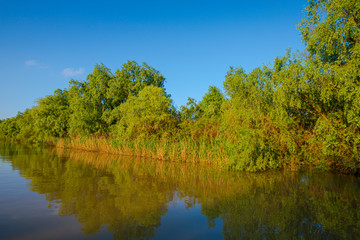 Danube Delta in the springtime