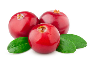 cranberry isolated on white background, clipping path, full depth of field