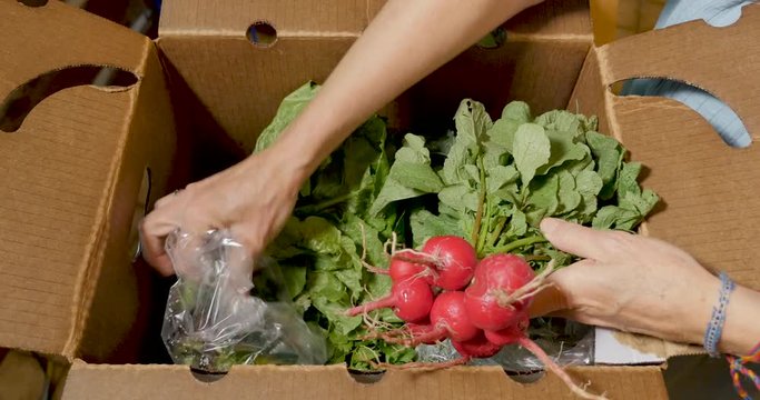 Woman's hands picking out fresh organic vegetables from a farmers market box