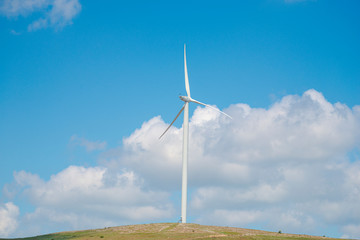 Windmill field 