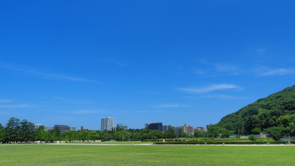 Fototapeta premium 松山市堀之内公園１